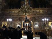 IMG4551