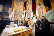 agios-dimitrios-8454879517585o
